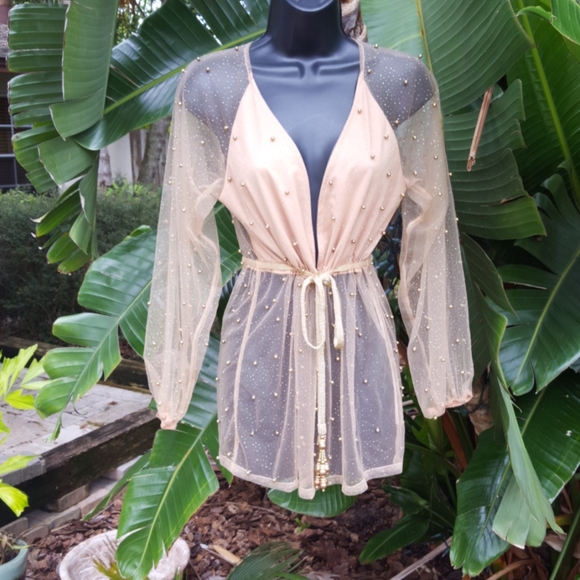 dressmezee Tops - Dressmezee sheer sparkle top